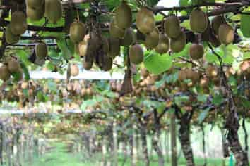 3962 State Highway, Raupunga