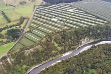 3962 State Highway, Raupunga