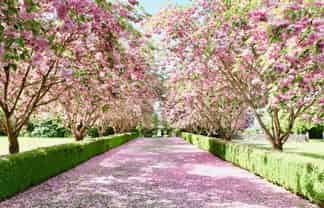 201 Lochiel Branxholme Road, Winton Surrounds