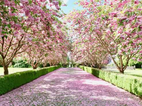 201 Lochiel Branxholme Road, Winton Surrounds