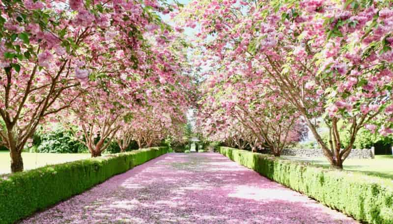 201 Lochiel Branxholme Road, Winton Surrounds