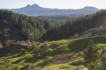  Mata Road, Tokomaru Bay