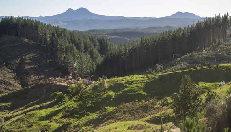  Mata Road, Tokomaru Bay