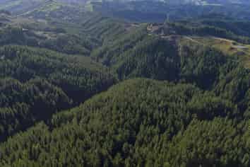  Mata Road, Tokomaru Bay
