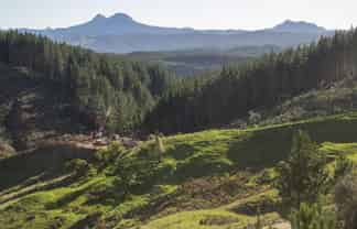  Mata Road, Tokomaru Bay