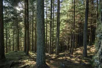  Mata Road, Tokomaru Bay