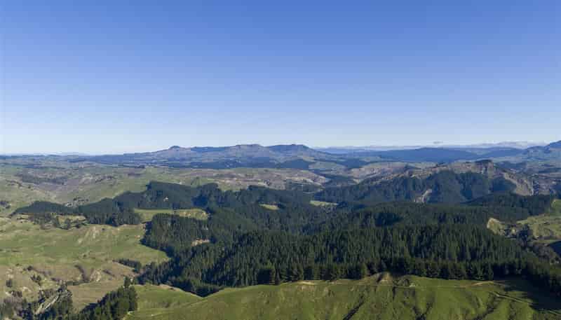  Mata Road, Tokomaru Bay