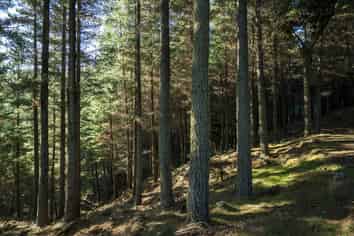  Mata Road, Tokomaru Bay
