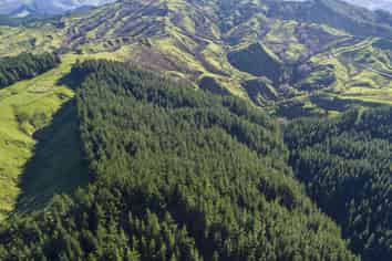  Mata Road, Tokomaru Bay