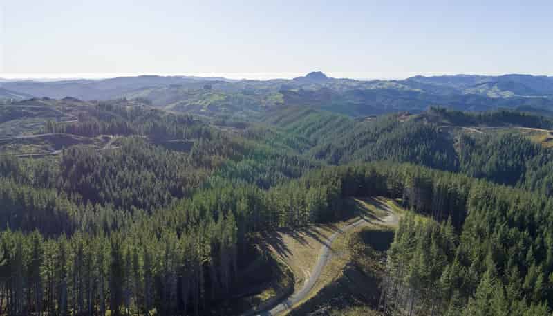  Mata Road, Tokomaru Bay