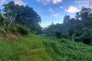 Pacific Islands - Address withheld