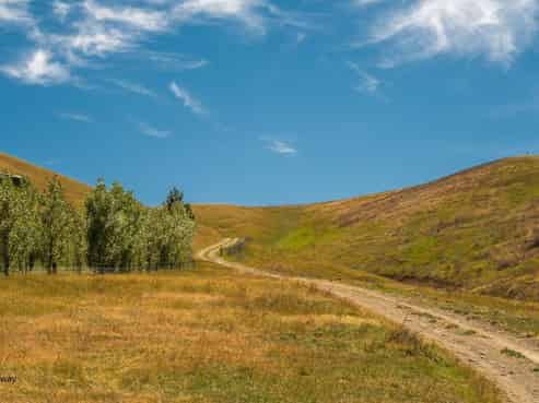 172 Burn Cottage Road, Cromwell