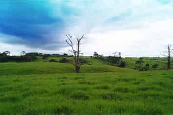 Lot 20/Lot 20 Parakau Road, Pollok