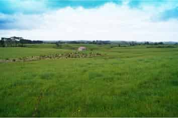 Lot 18/Lot 18 Kotare Road, Pollok