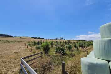 Lot 18/Lot 18 Kotare Road, Pollok