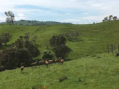 155 Sunday Creek Road, Thorpe