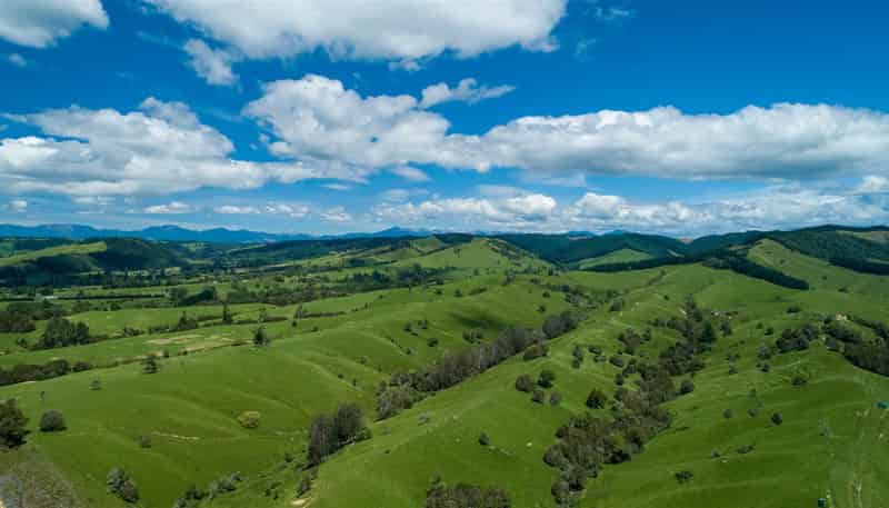 155 Sunday Creek Road, Thorpe