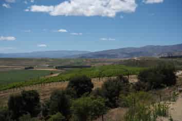 134 Bendigo Loop Road, Cromwell