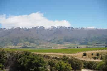 134 Bendigo Loop Road, Cromwell