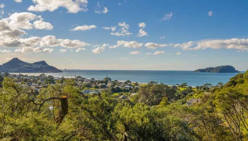 49 Mount Avenue, Pauanui