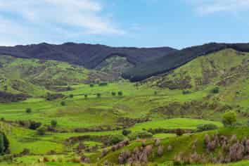 148 Waihua Valley Road, Wairoa