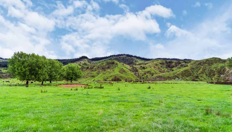 148 Waihua Valley Road, Wairoa