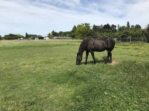 3258 State Highway 2, Carterton