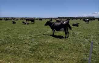 135-150 Ahipaipa Road, 