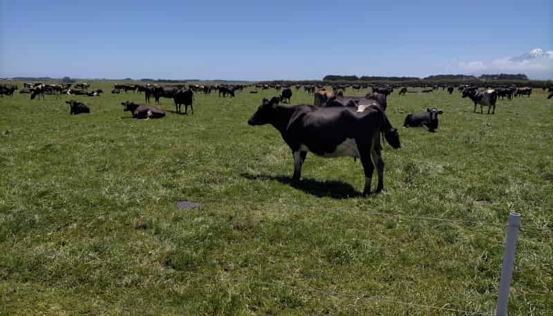 135-150 Ahipaipa Road, 