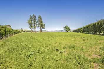  Dalethorpe Road, Sheffield