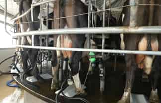 520 Upper Buller Gorge Road, Buller Surrounds