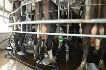 520 Upper Buller Gorge Road, Buller Surrounds