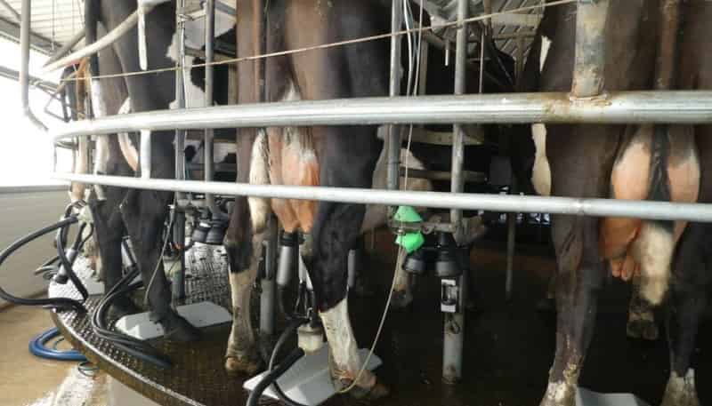 520 Upper Buller Gorge Road, Buller Surrounds