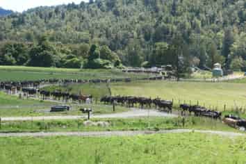 520 Upper Buller Gorge Road, Buller Surrounds