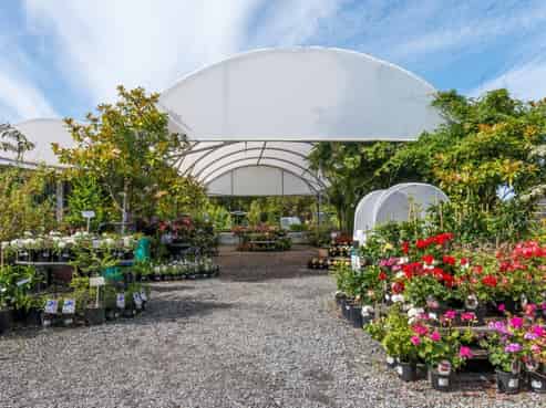 Country Dog Garden Centre 