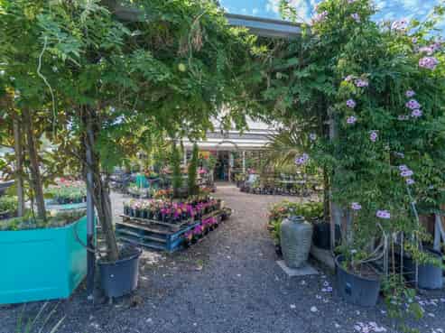 Country Dog Garden Centre 