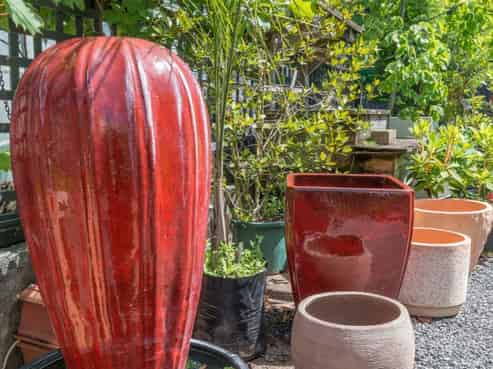 Country Dog Garden Centre 