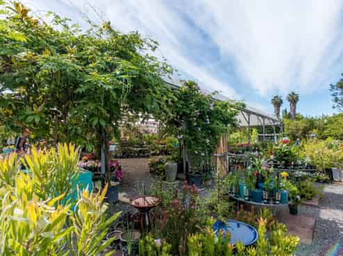 Country Dog Garden Centre 