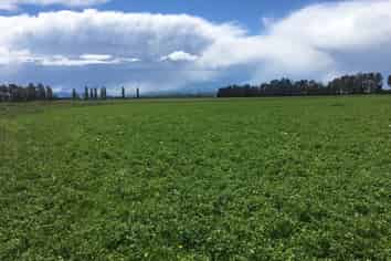 261 Peebles Siding Road, North Otago