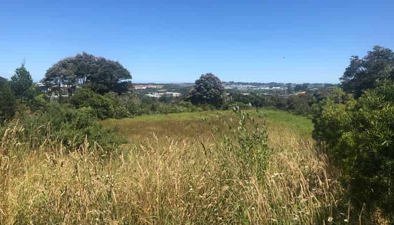 22 Stevenson Crescent, Albany