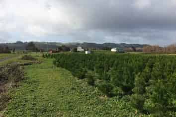 201 Sutton Road, Drury