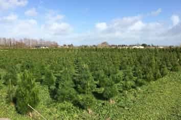 201 Sutton Road, Drury