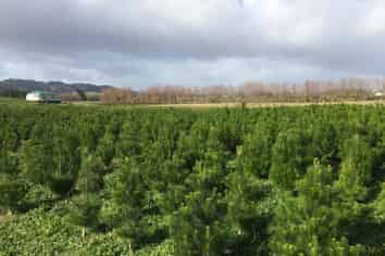 201 Sutton Road, Drury