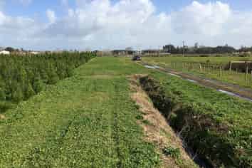 201 Sutton Road, Drury