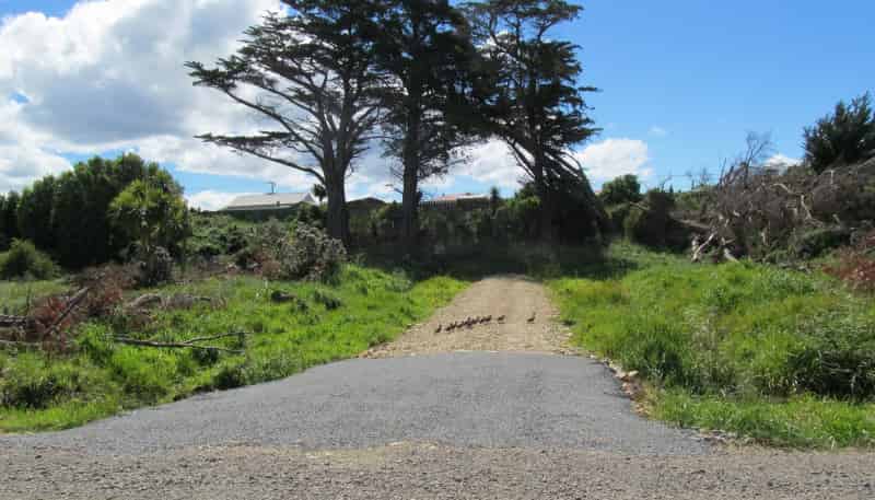 16 and 18 Palmerston Street, Riverton