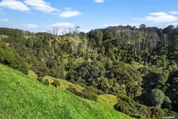 267 Boiler Gully Road, Awhitu