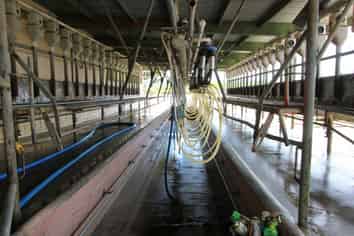 320 Makino Road, Patea