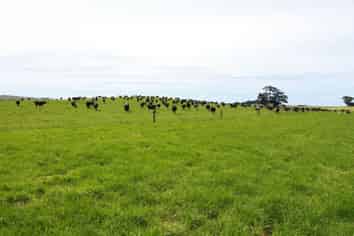 320 Makino Road, Patea