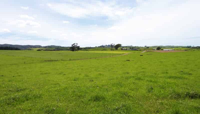 320 Makino Road, Patea