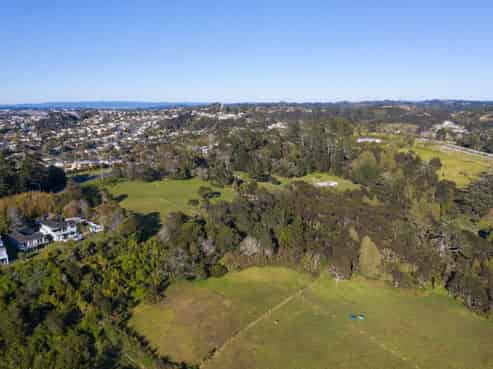 Multiple residential subdivision options